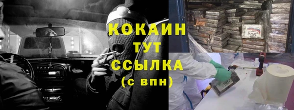 трава Богданович
