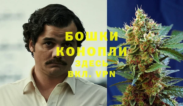 прущая мука Бородино