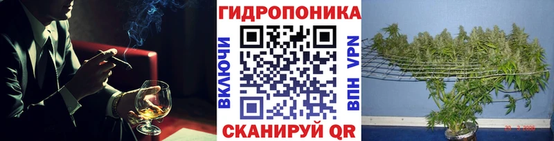 Конопля VHQ Валдай